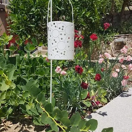 Pudaric פריזבה